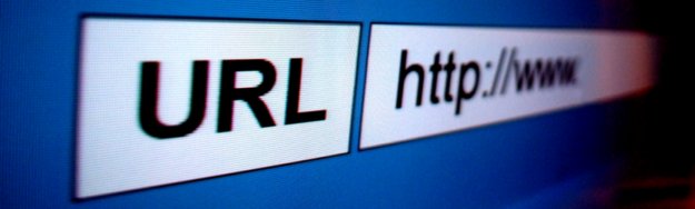 A wealth of web app experience